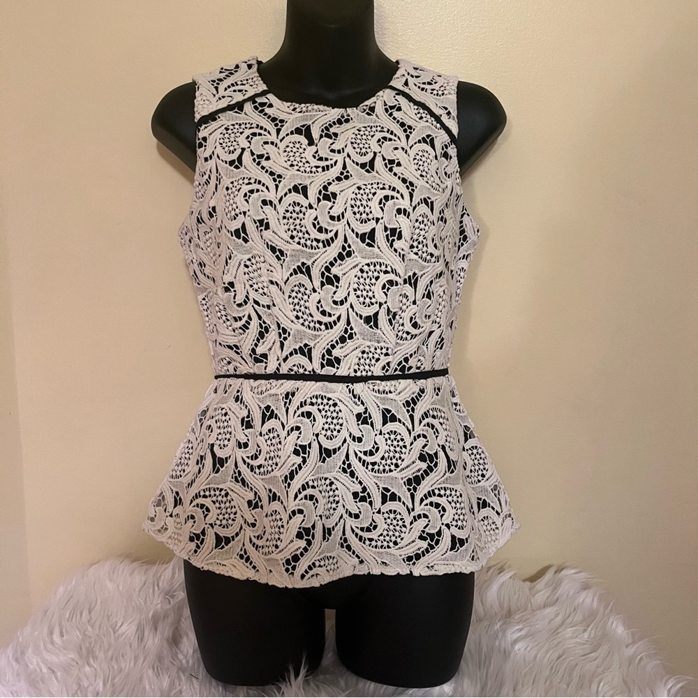 Lace Peplum Anthropologie Maeve Zip Back Shirt